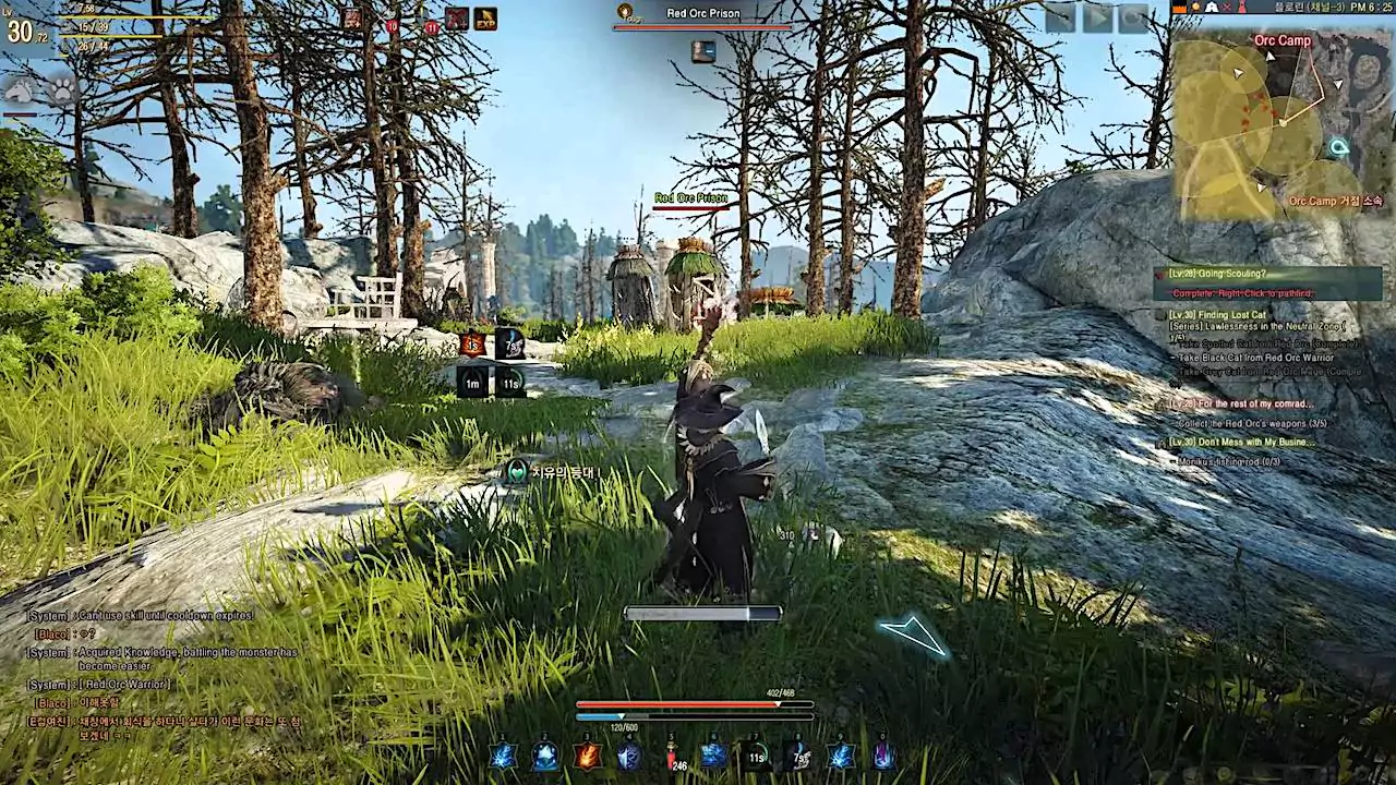 Game BDO